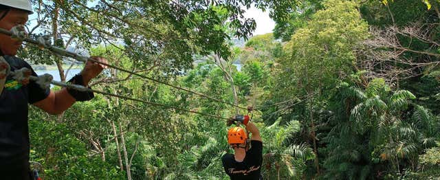 Tyrolienne au parc Tree Trek Gamboa