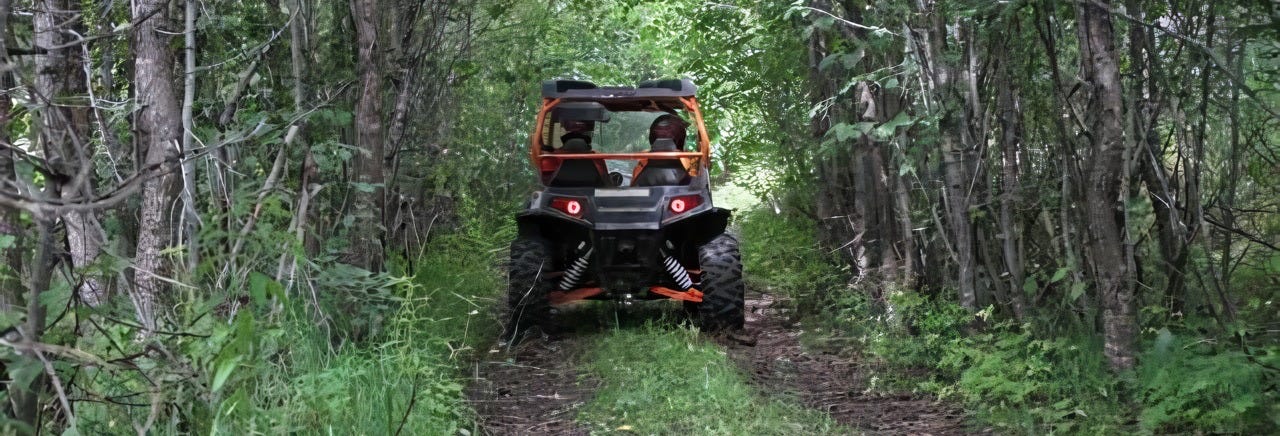 Riviera Pacifica Jungle Buggy Tour