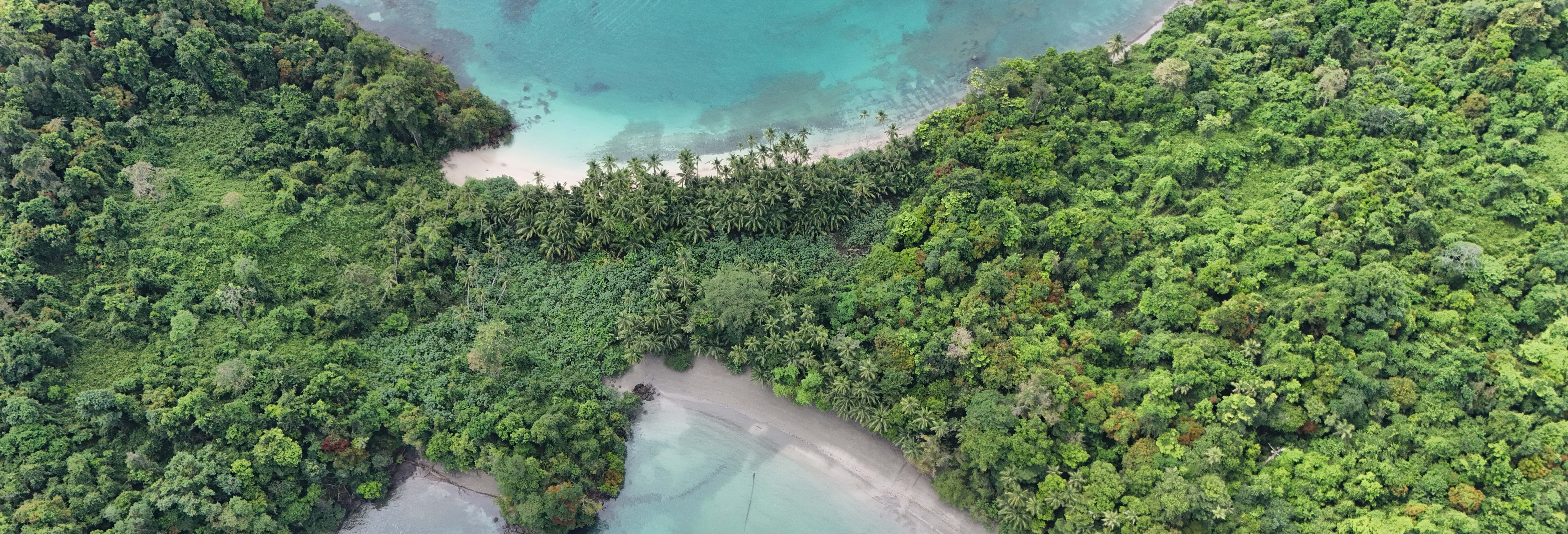Immersione nel Parco Nazionale Coiba