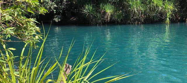 Escursione al ruscello Tagatiyá 