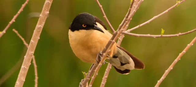 Escursione privata ad Arroyos y Esteros 