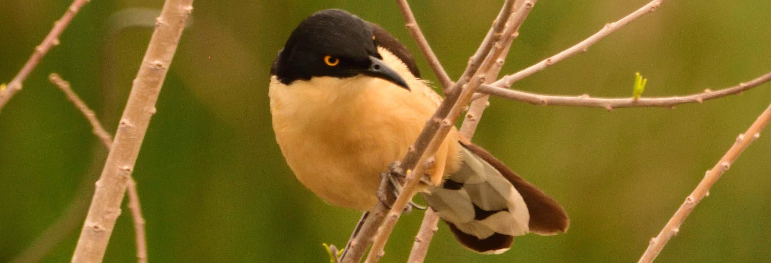 Escursione privata ad Arroyos y Esteros 