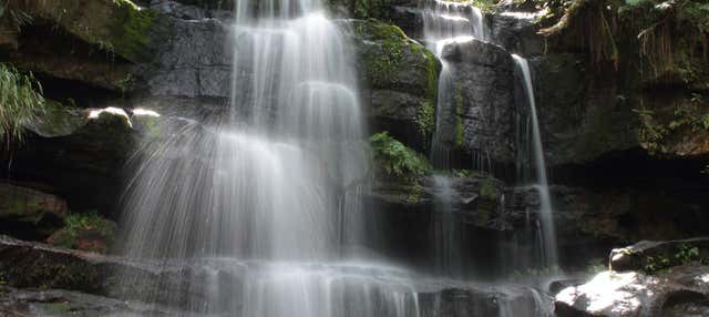 Escursione al Parco Nazionale Ybycui + Museo La Rosada