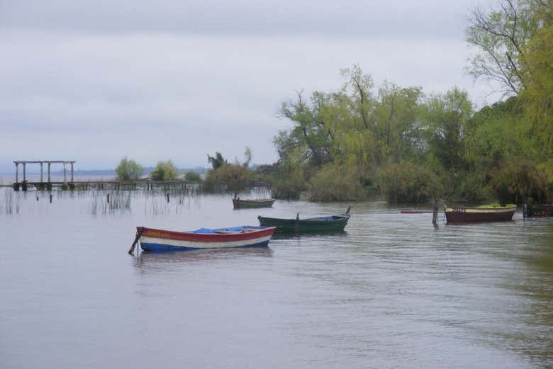 Imagen 3
