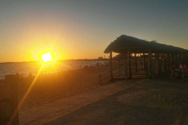 Imagen 8