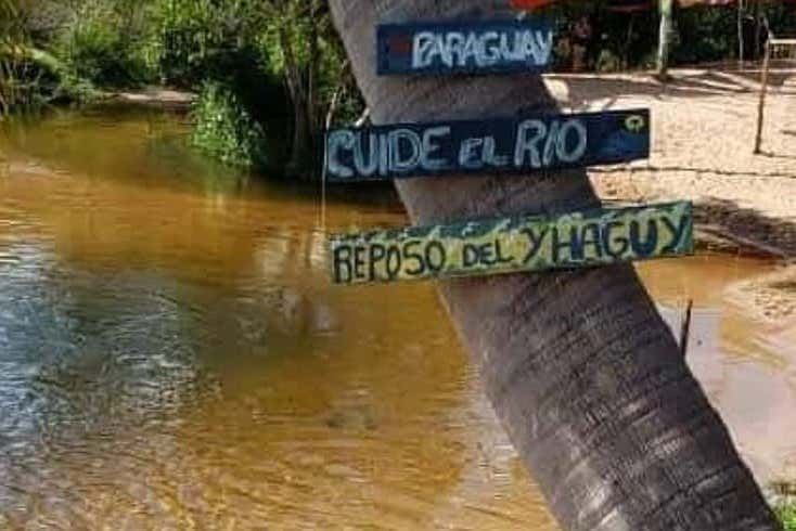 Imagen 8