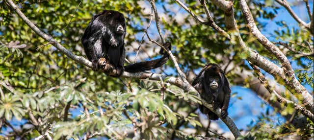 Tour del giardino botanico di Asunción