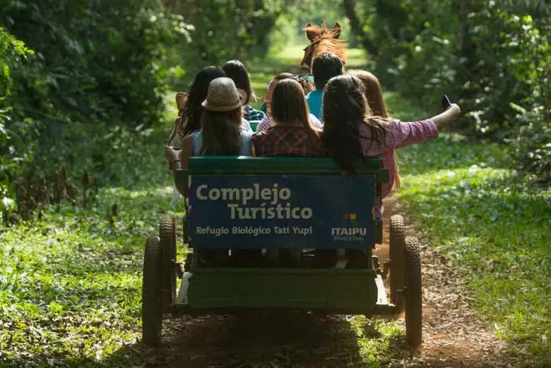 Imagen 7