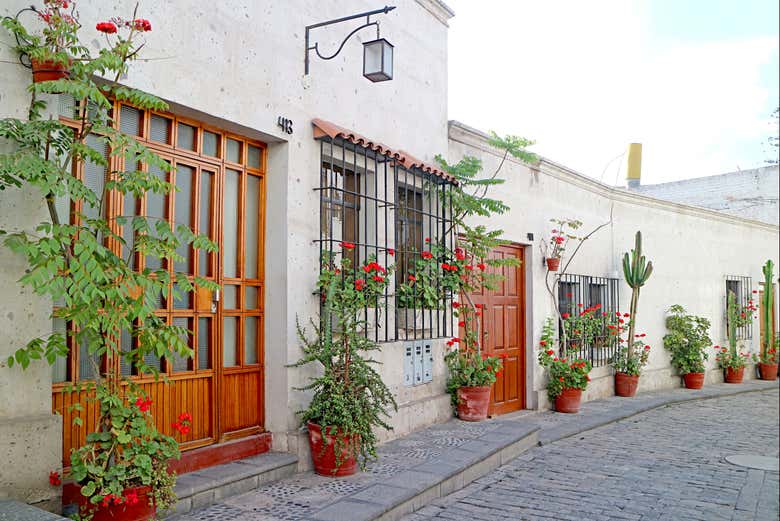 Imagen 7