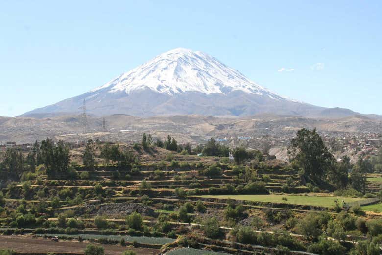 Imagen 7