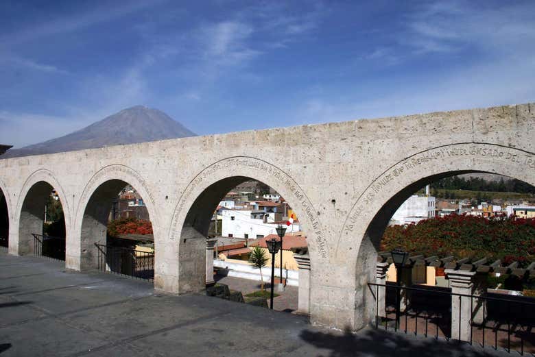 Imagen 5
