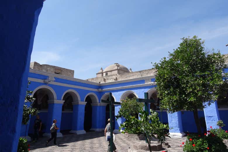 Imagen 5
