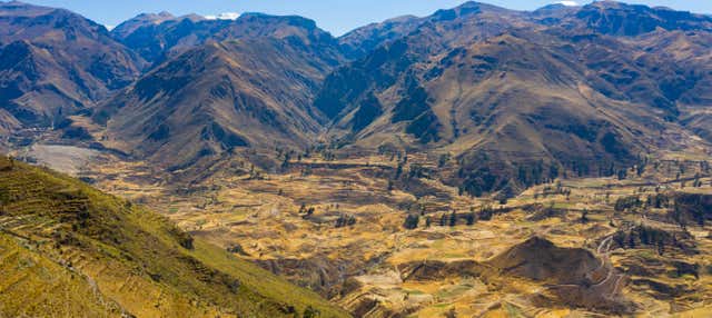 Tour di 4 giorni ad Arequipa e al Canyon del Colca