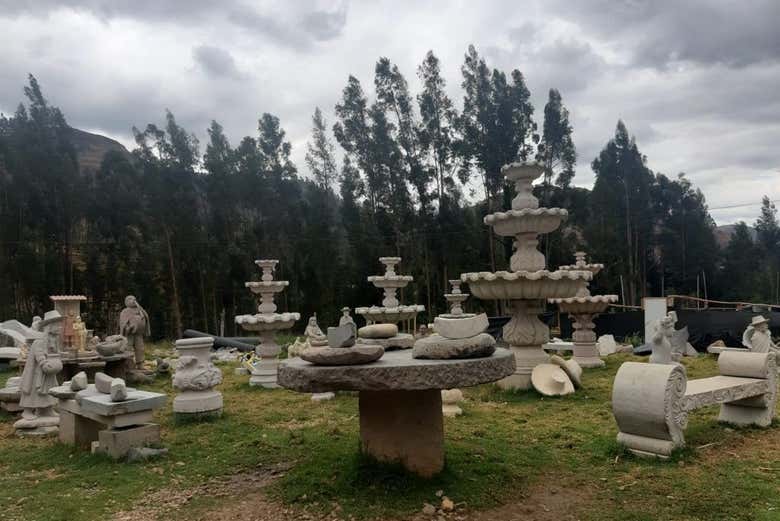 Imagen 6