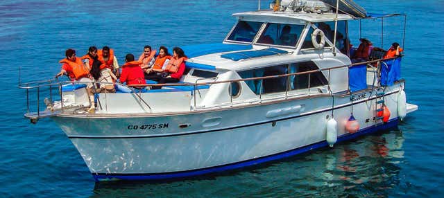 Giro in barca alle isole Palomino