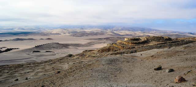 Escursione a Chankillo e al suo bosco di carrubi