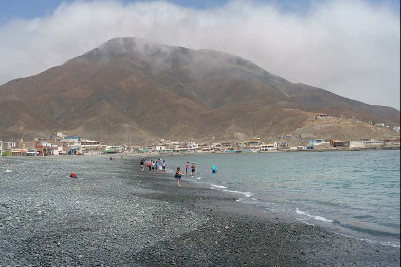 Imagen 6