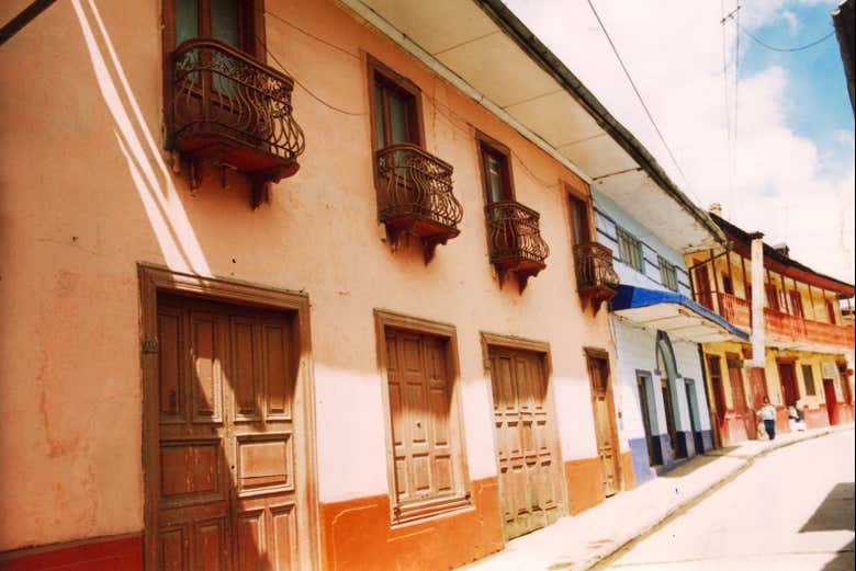 Imagen 5