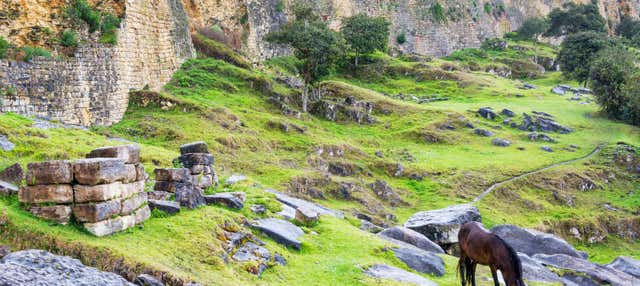 Escursione alla Fortezza di Kuelap