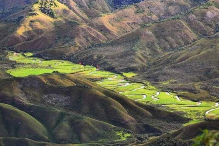 Imagen 5