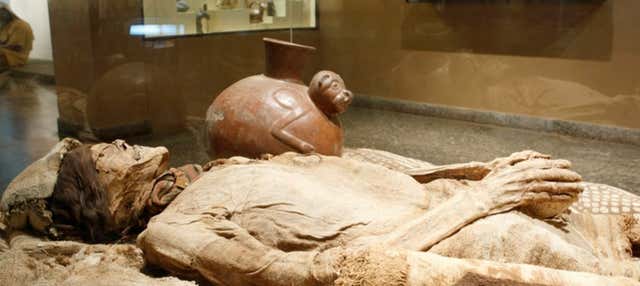 Escursione privata al Museo Archeologico Brüning