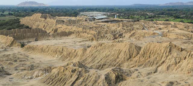 Escursione al Museo Nazionale di Sicán e piramidi di Túcume