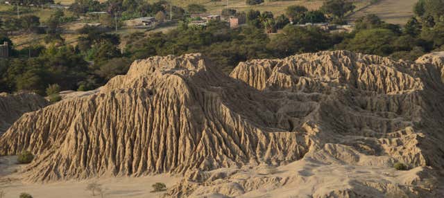 Tour privato del Museo Brüning e Huaca Chotuna