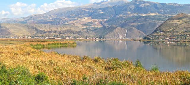 Birdwatching nella laguna di Huacarpay