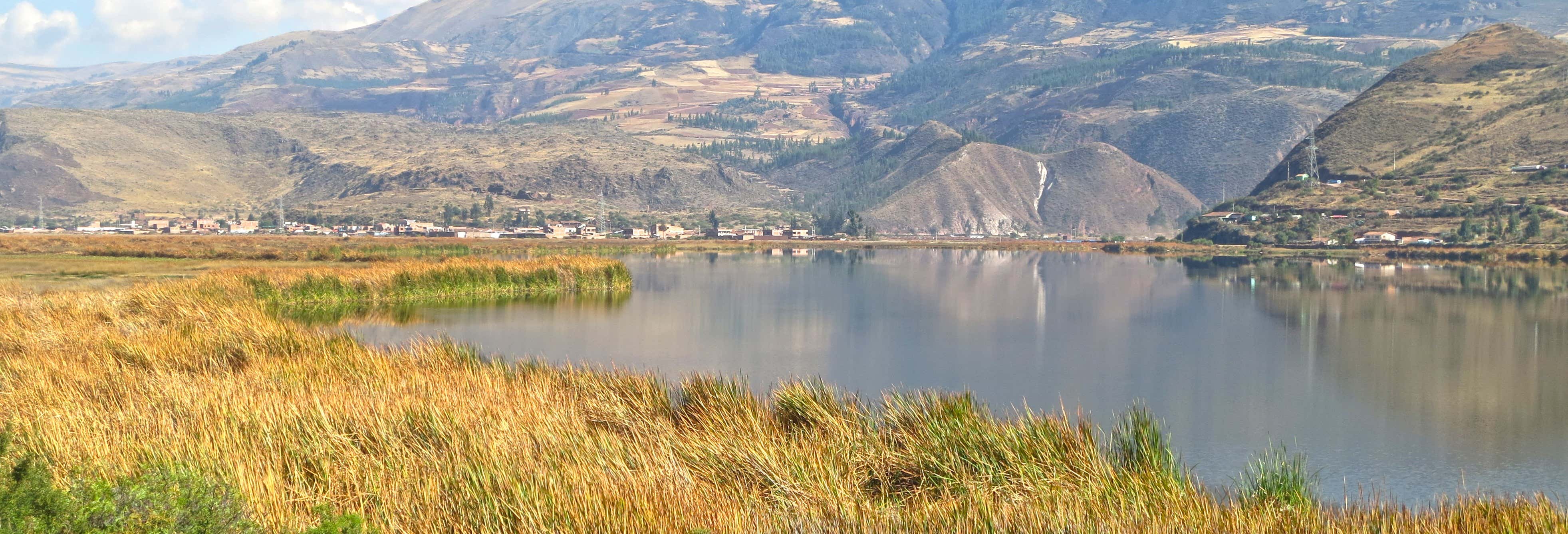 Birdwatching nella laguna di Huacarpay