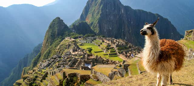 Escursione a Machu Picchu senza biglietti