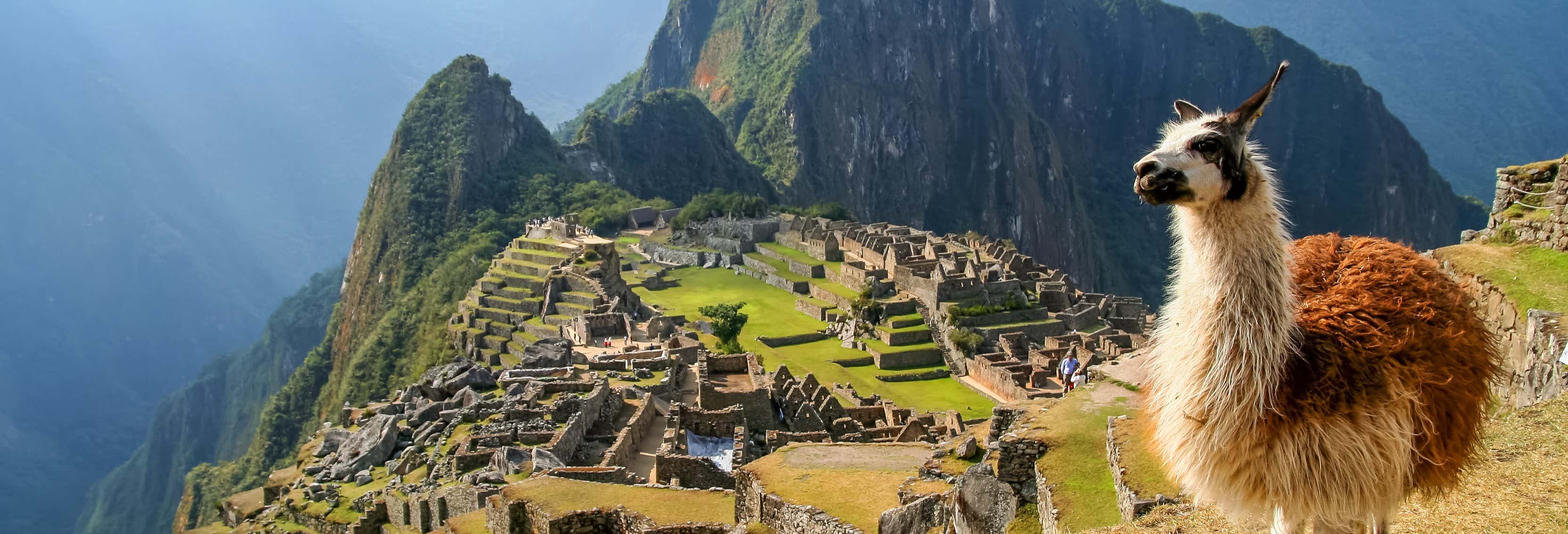 Excursão a Machu Picchu