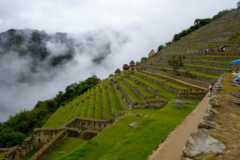 Imagen 2