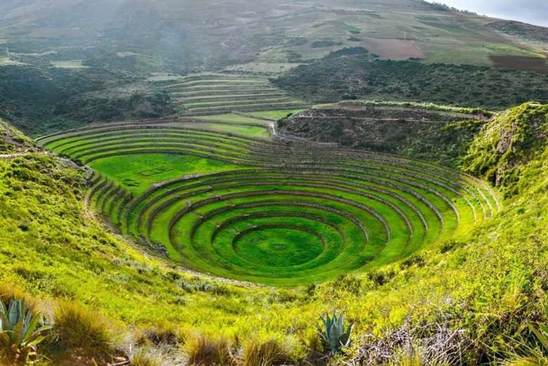Imagen 9