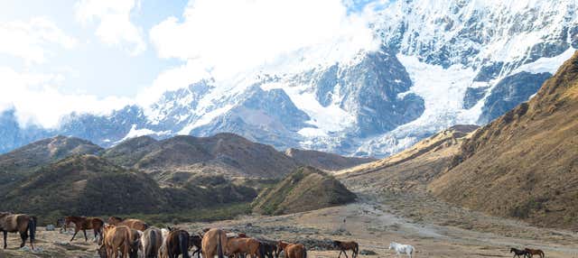 Itinerario di 5 giorni sul Cammino di Salkantay