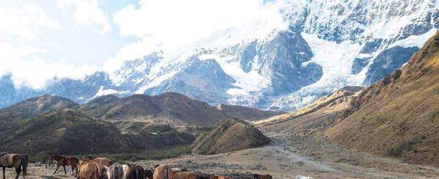 Circuit de 5 jours sur le Chemin de Salkantay