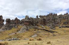 Excursión al Santuario Nacional de Huayllay