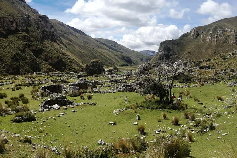 Imagen 6