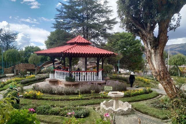 Imagen 7