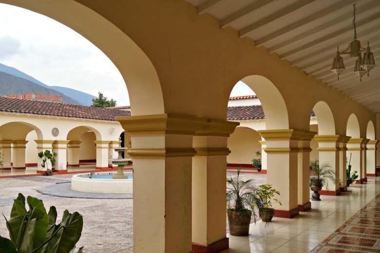 Imagen 7