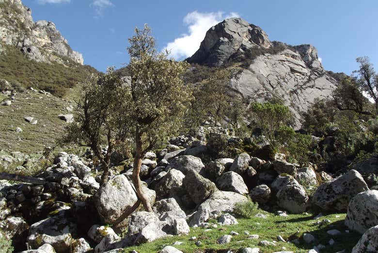 Imagen 6