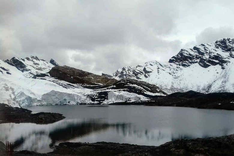Imagen 6