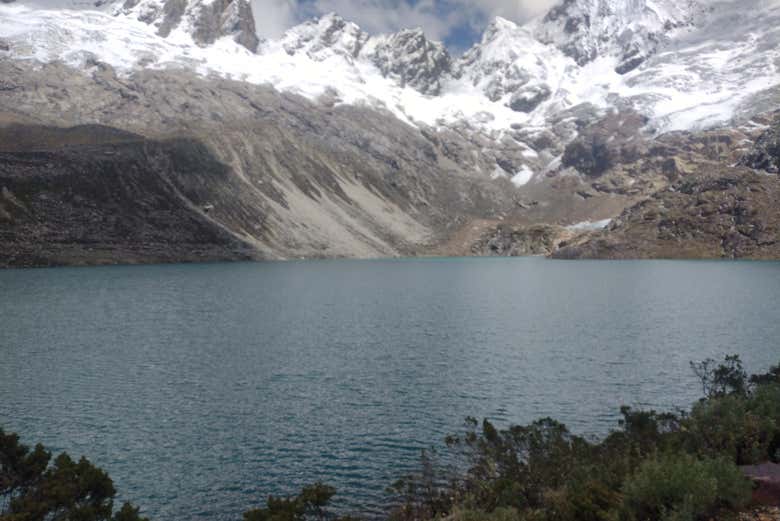 Imagen 5