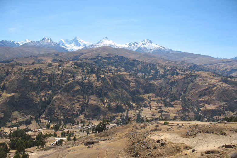 Imagen 7