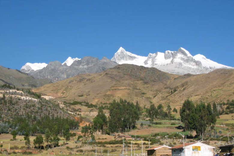 Imagen 5