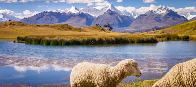 Itinerario privato di trekking alla Laguna Wilcacocha