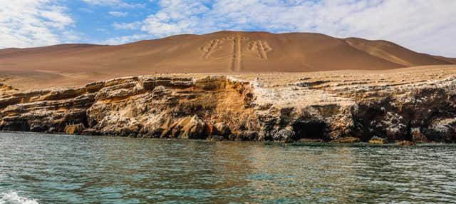 Escursione privata da Ica