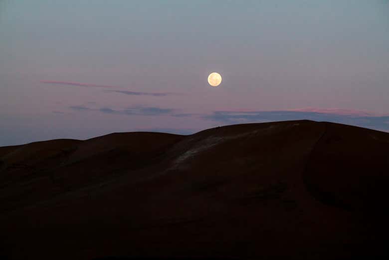 Imagen 8