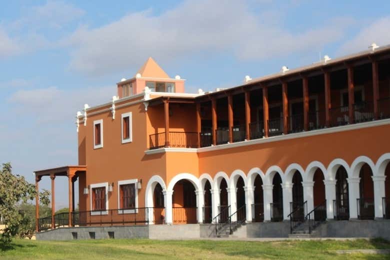 Imagen 2
