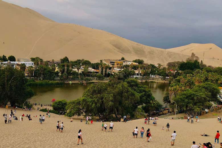 Imagen 8
