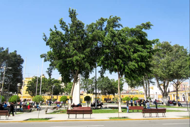 Imagen 3